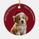 Search for dogs christmas tree decorations Family