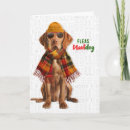 Search for vizsla cards From the dog