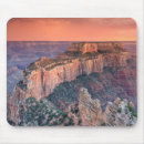 Search for eroded mousepads Barren