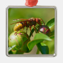 Search for wasp christmas tree decorations Insect