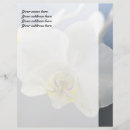 Search for orchid stationery paper White