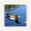 Search for pond photography Blue