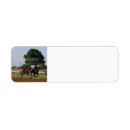 Search for race horse return address labels Racing
