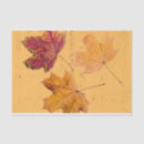 Search for maple leaf tissue paper Fall