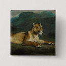 Search for lioness square badges Wild