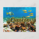 Search for curacao postcards Sea