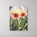 Search for daffodil canvas prints Narcissus