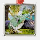 Search for mele kalikimaka christmas tree decorations Beach