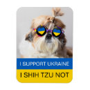 Search for i heart magnets Dog