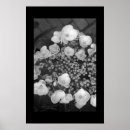 Search for wit posters Black