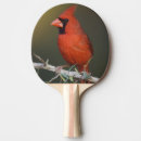 Search for cardinalis Nobody
