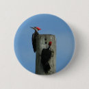 Search for pole badges Bird