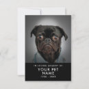 Search for pet memorial cards Dog