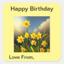 Search for daffodil stickers Plant