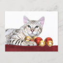Search for bengal christmas cards Cat lover