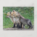 Search for triplet postcards Siblings