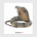 Search for venomous snake stickers Cobra