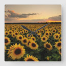 Search for field clocks Plant