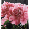 Search for easter shower curtains Summer