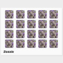 Search for australian koala bear stickers Marsupial