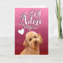 Search for poodle valentines day cards Heart
