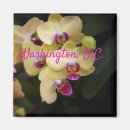 Search for orchids magnets Botanical