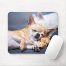 Search for red haired mousepads Dog