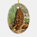 Search for fungus christmas tree decorations Nature