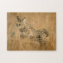 Search for one colour puzzles Alertness