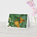 Search for fruit trees cards Plants