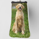 Search for golden retriever golf head covers Pet