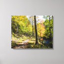 Search for trail canvas prints Fall