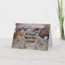 Search for to moo birthday cards Co worker