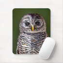 Search for reserve electronics Bird