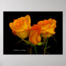 Search for three roses posters Green