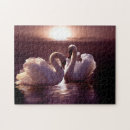 Search for love bird puzzles Couple