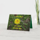 Search for bee weed Nature