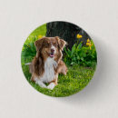 Search for dog photo badges Pet