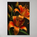 Search for tiger lily art Orange flowers