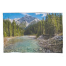 Search for national park pillowcases Mountains