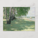 Search for liebermann Light