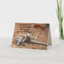 Search for kangaroo cards Australian wildlife