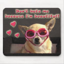 Search for chihuahua mousepads Animals