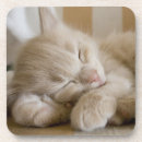 Search for whiskers coasters Pet