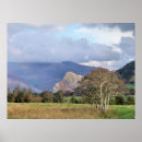 Search for sheep painting posters Mountains