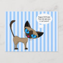 Search for cats meow birthday cards Cat lover