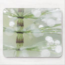 Search for wa electronics Green