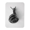 Search for magnet postcards Cute