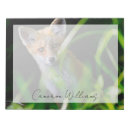 Search for fox notepads Animals in the wild