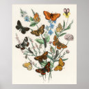 Search for beautiful butterflies posters Wings
